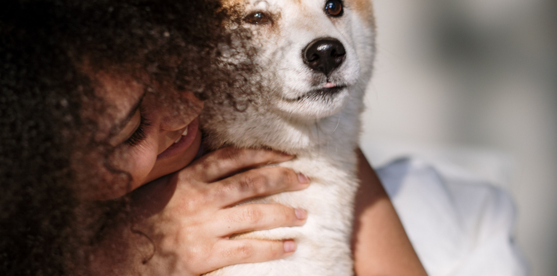 Pomerania Baby