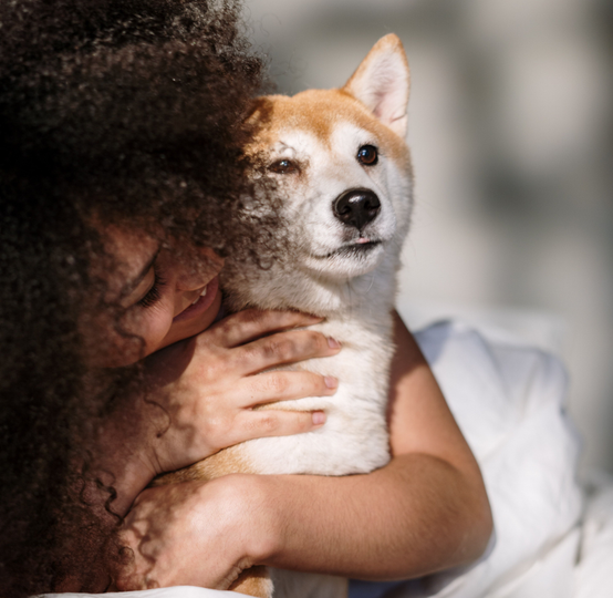 Pomerania Baby